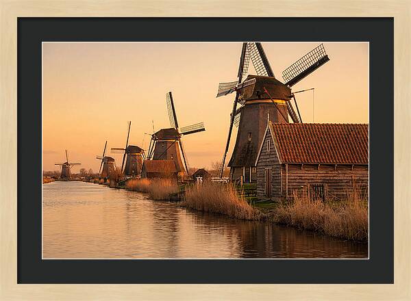 Row Of Windmills At Sunset