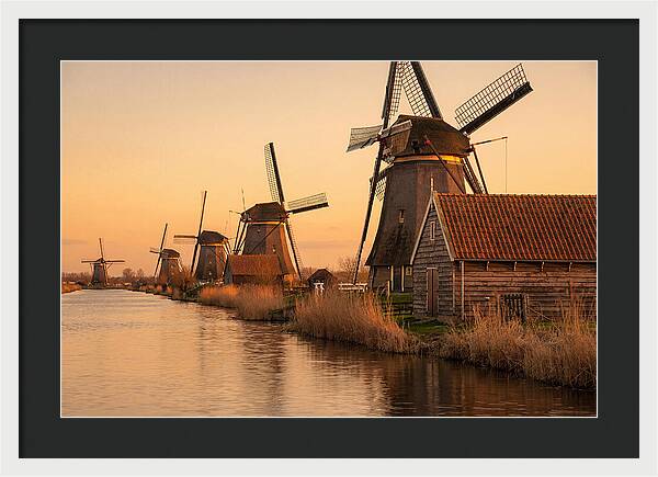 Row Of Windmills At Sunset