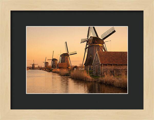 Row Of Windmills At Sunset