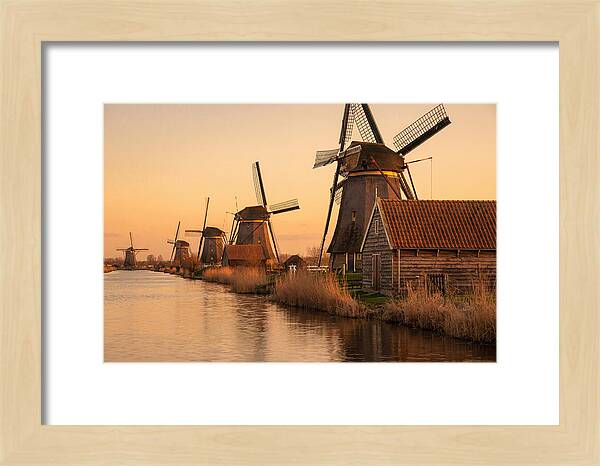 Row Of Windmills At Sunset