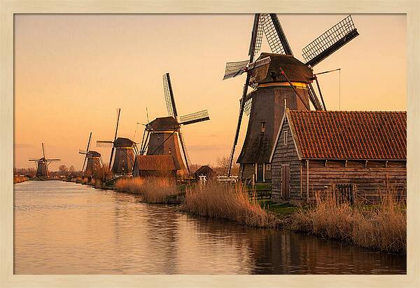 Row Of Windmills At Sunset