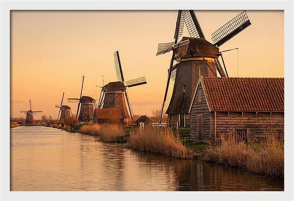 Row Of Windmills At Sunset