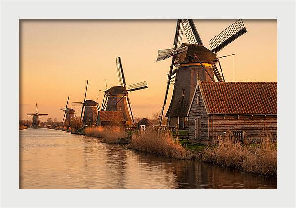 Row Of Windmills At Sunset