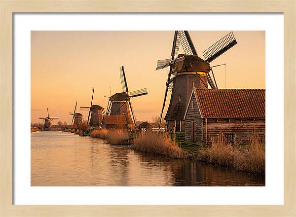 Row Of Windmills At Sunset