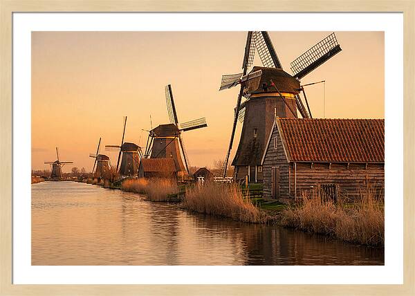 Row Of Windmills At Sunset