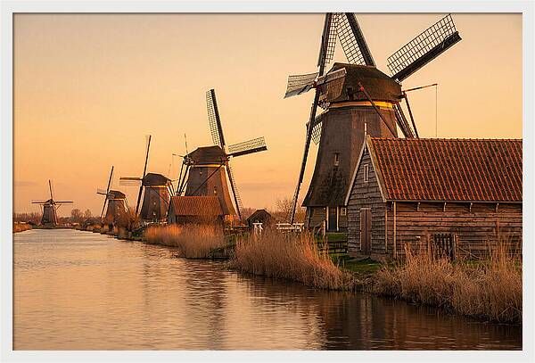Row Of Windmills At Sunset