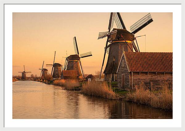 Row Of Windmills At Sunset