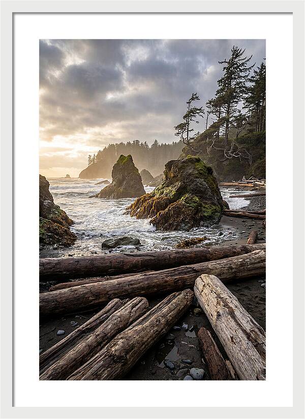 Ruby Beach Serenity
