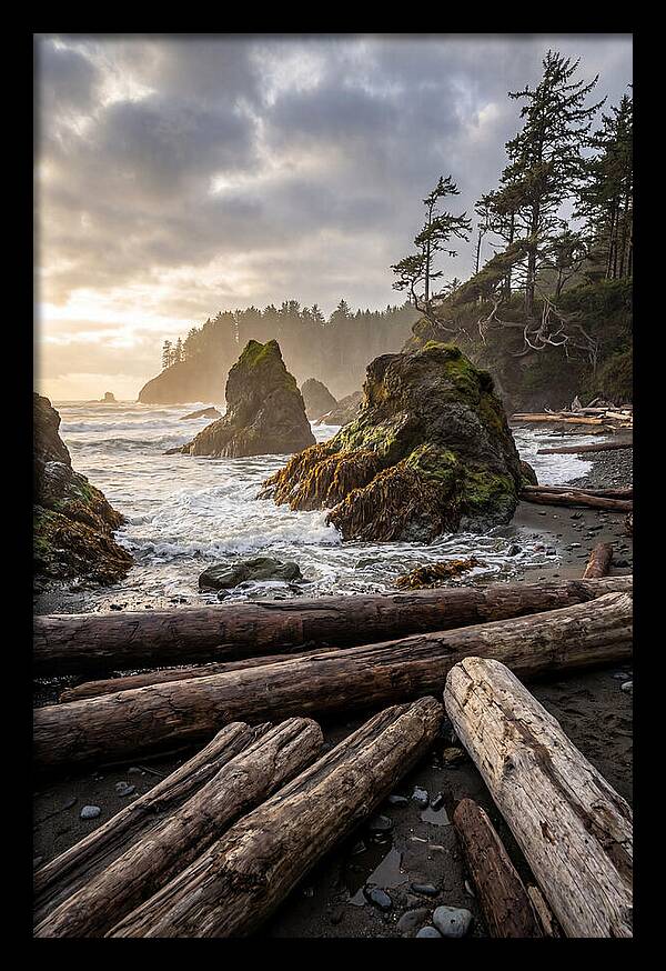 Ruby Beach Serenity