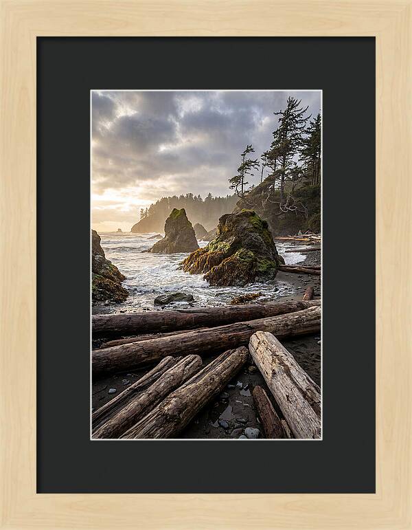 Ruby Beach Serenity