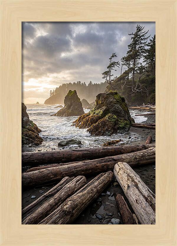 Ruby Beach Serenity