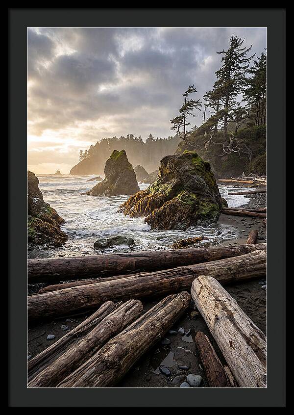 Ruby Beach Serenity