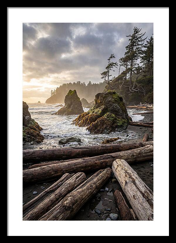 Ruby Beach Serenity
