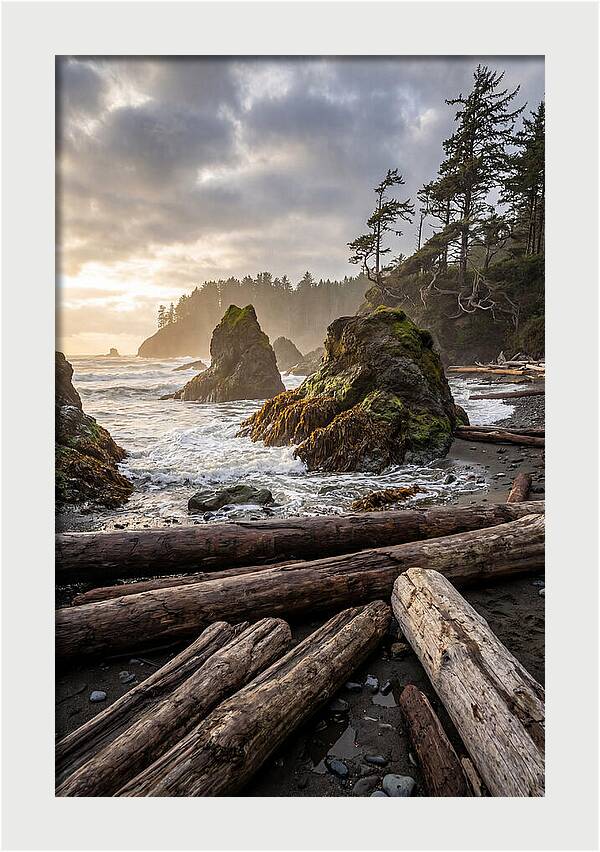 Ruby Beach Serenity