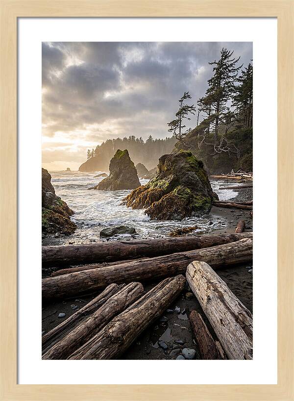 Ruby Beach Serenity