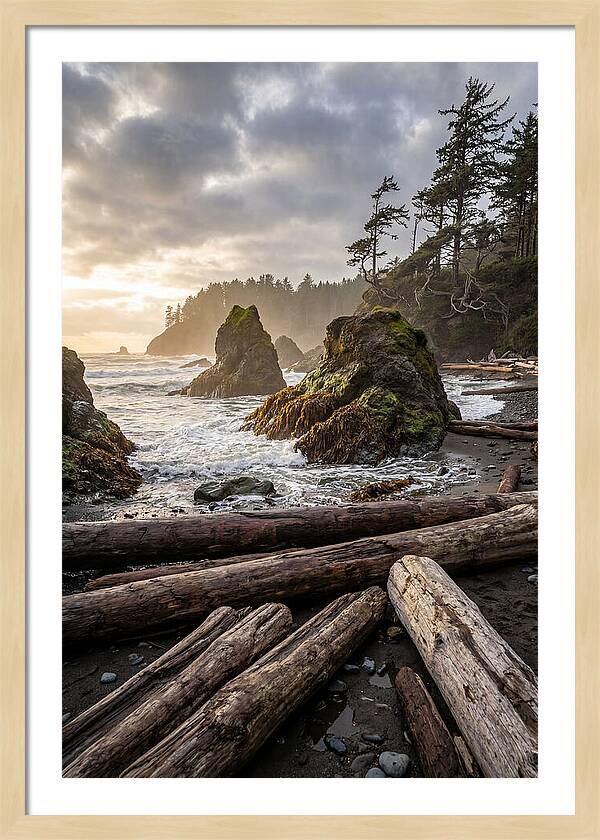 Ruby Beach Serenity