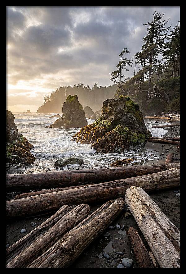 Ruby Beach Serenity