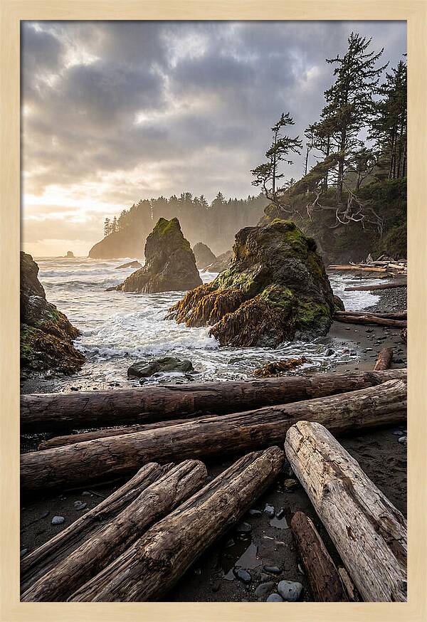 Ruby Beach Serenity