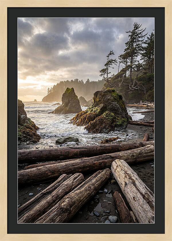 Ruby Beach Serenity