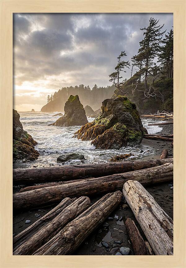 Ruby Beach Serenity