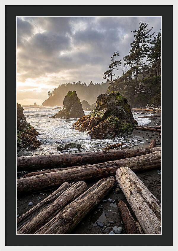 Ruby Beach Serenity