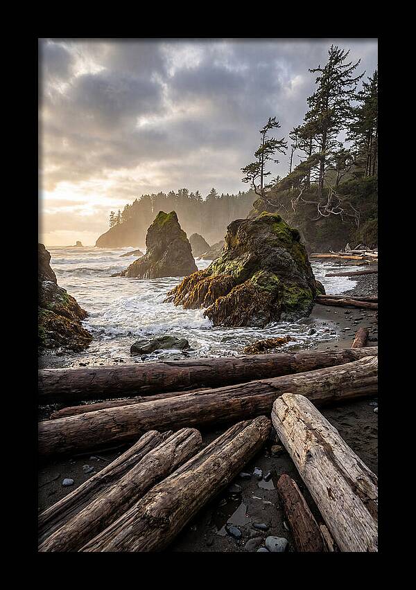Ruby Beach Serenity