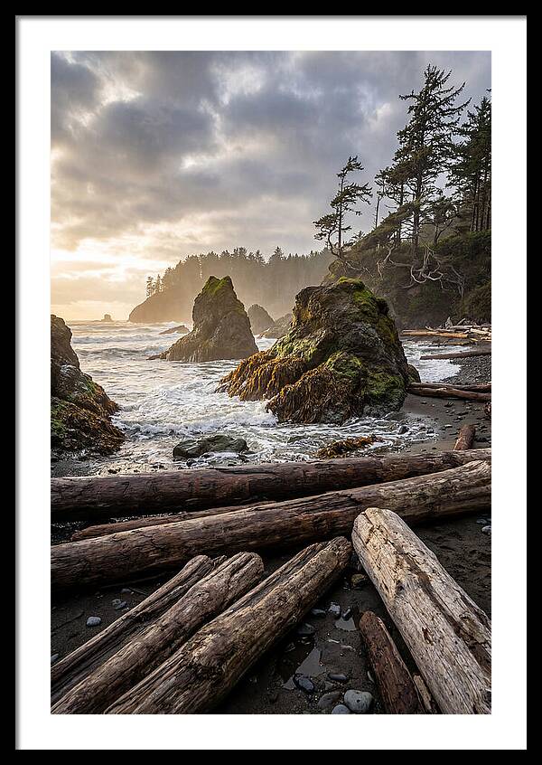 Ruby Beach Serenity