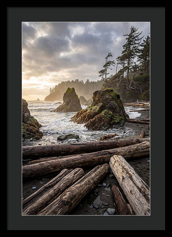 Ruby Beach Serenity