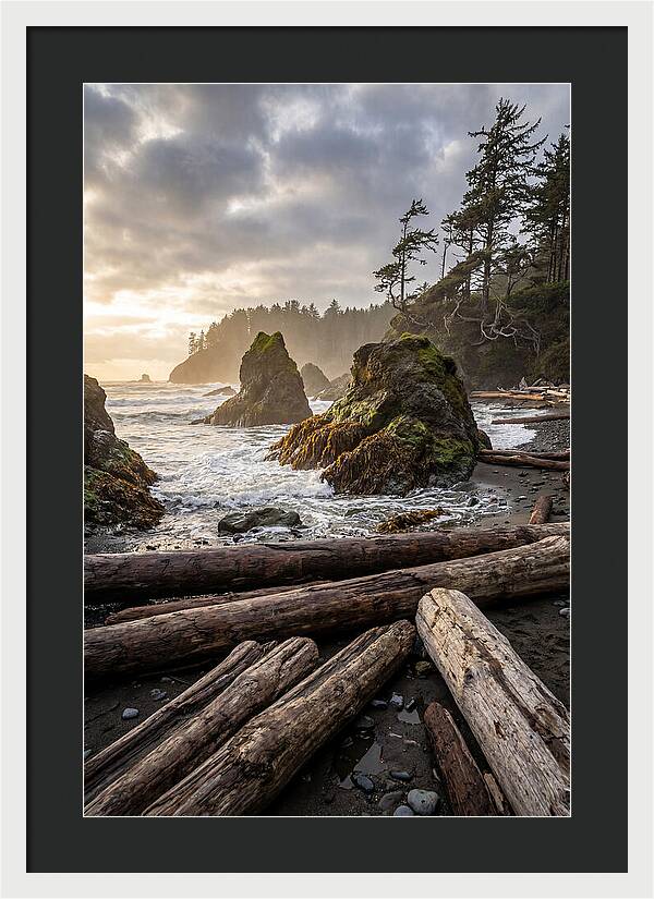 Ruby Beach Serenity