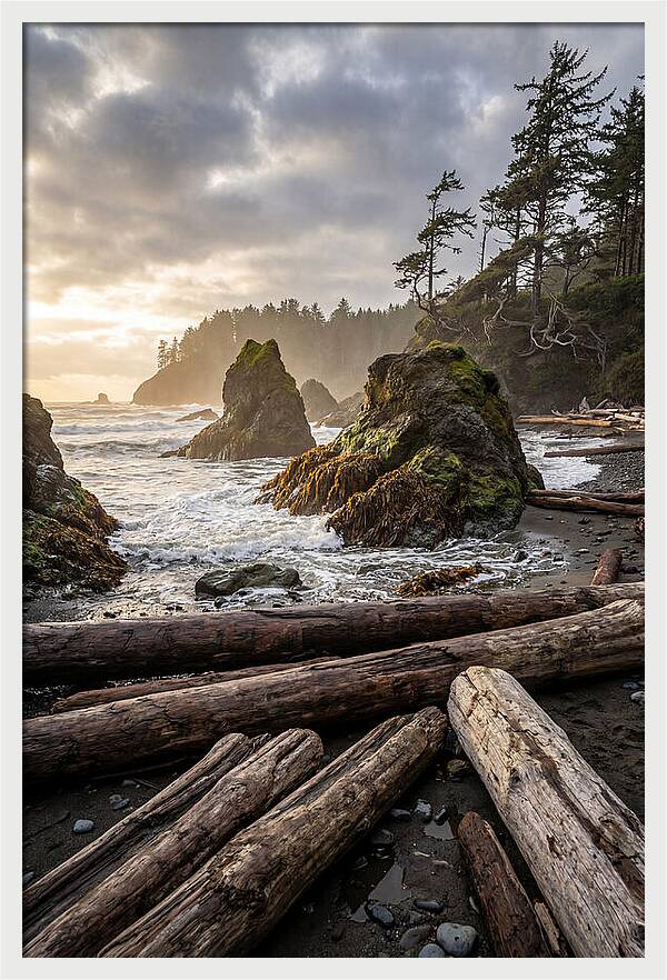 Ruby Beach Serenity