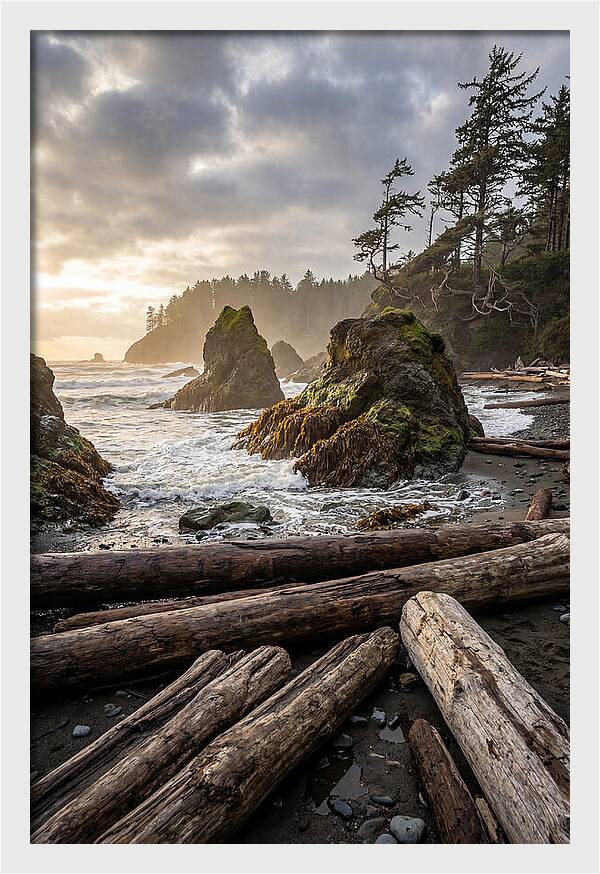 Ruby Beach Serenity