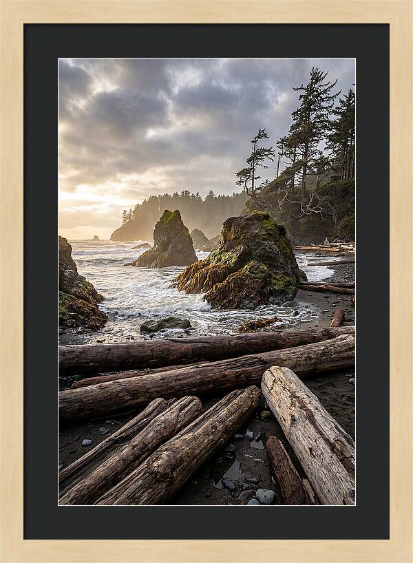 Ruby Beach Serenity