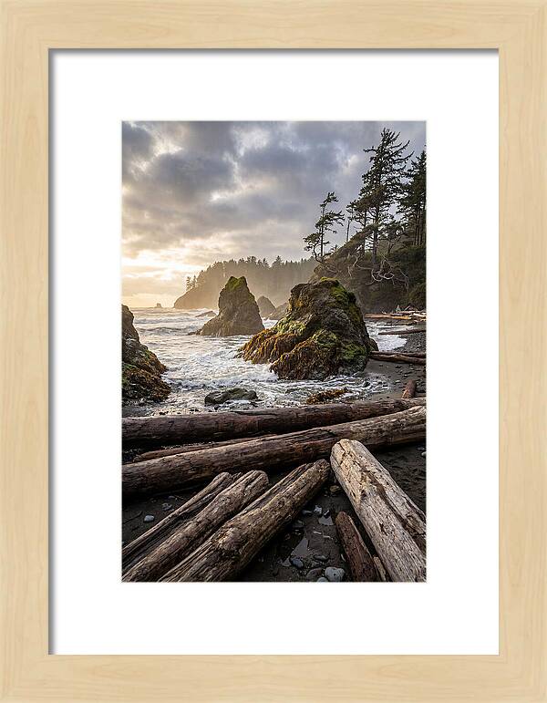Ruby Beach Serenity