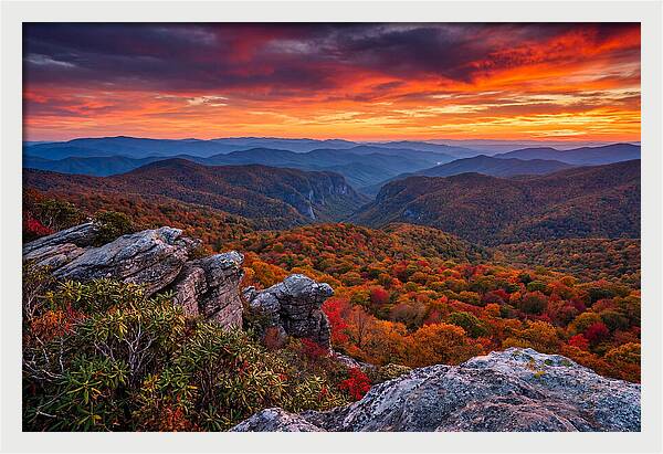 Rugged Beauty At Sunset