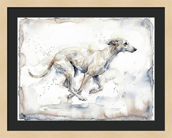 Running Greyhound In Watercolor