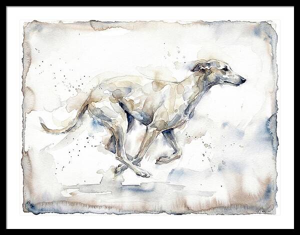 Running Greyhound In Watercolor