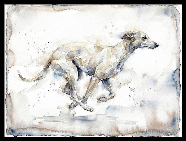 Running Greyhound In Watercolor