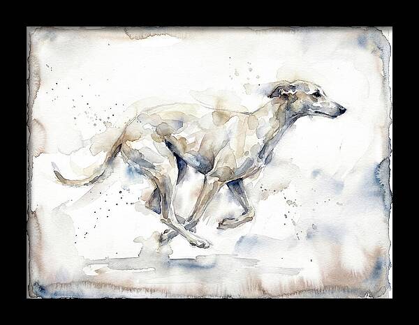 Running Greyhound In Watercolor