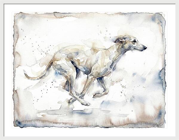 Running Greyhound In Watercolor