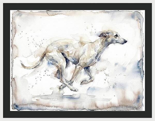 Running Greyhound In Watercolor