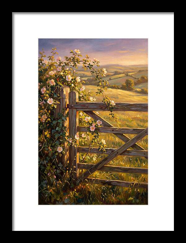 Rural Gate At Sunset