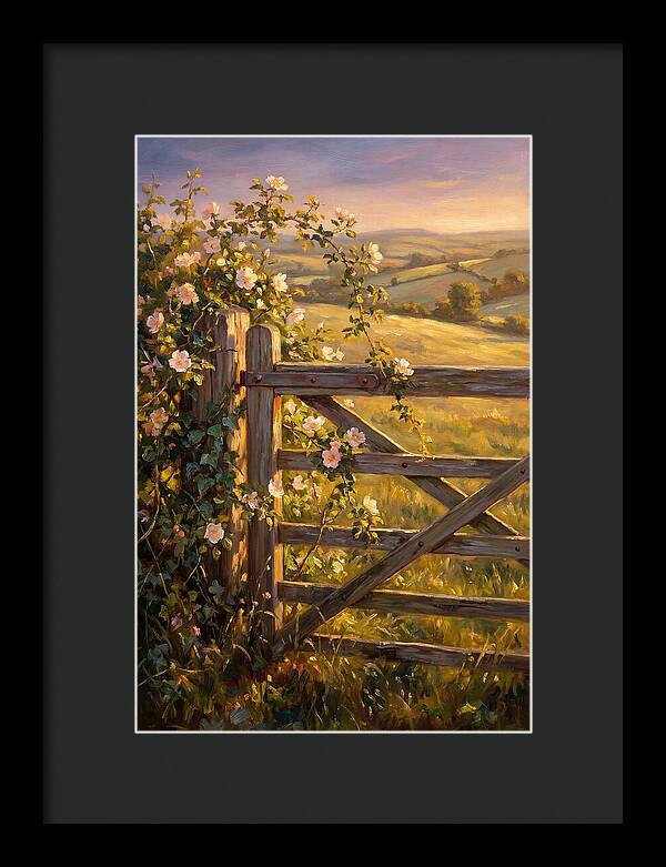 Rural Gate At Sunset
