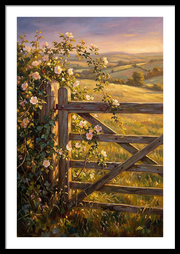 Rural Gate At Sunset