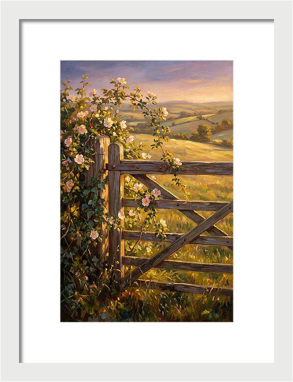 Rural Gate At Sunset