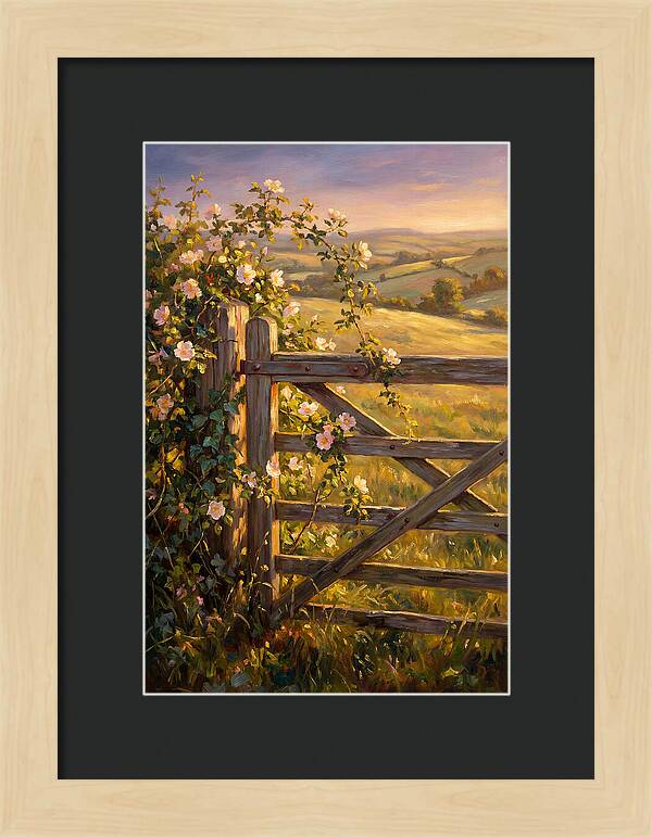 Rural Gate At Sunset