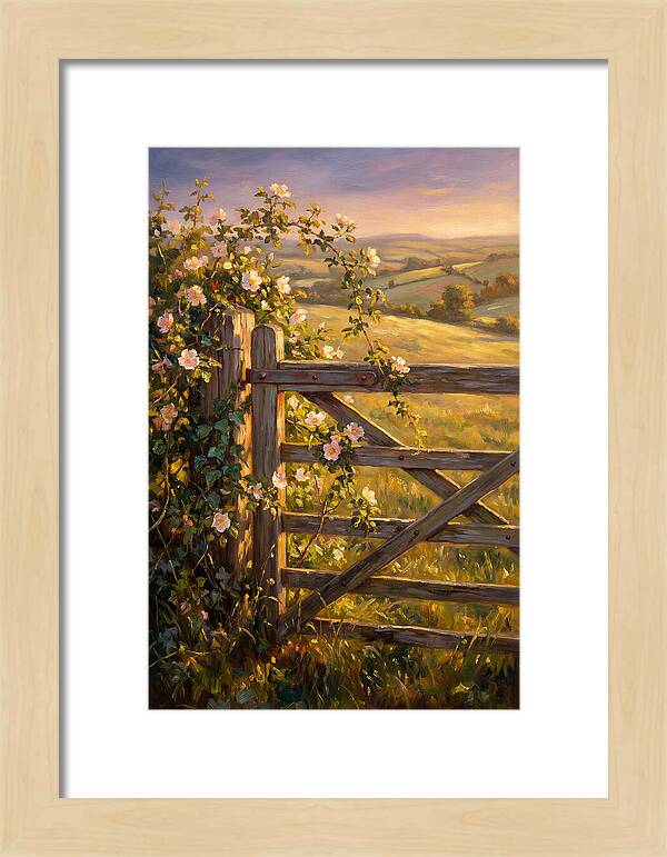 Rural Gate At Sunset
