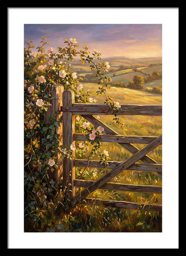 Rural Gate At Sunset
