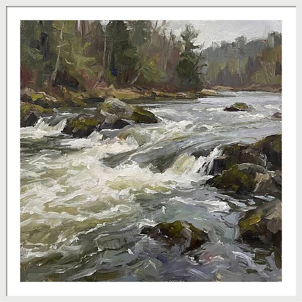 Rushing Rapids In Nature