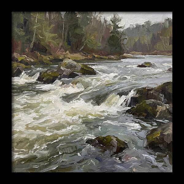 Rushing Rapids In Nature