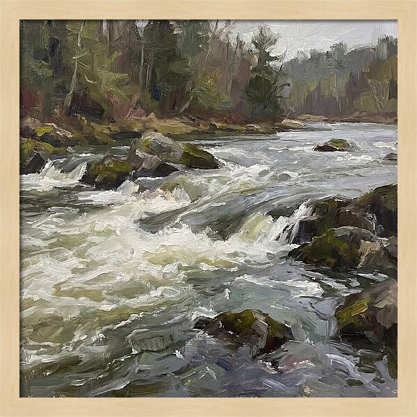Rushing Rapids In Nature